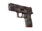P250 | Facility Draft image